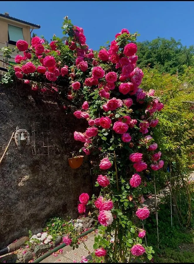 Ca' De Natta Villa Sestri Levante 0*,  Italy